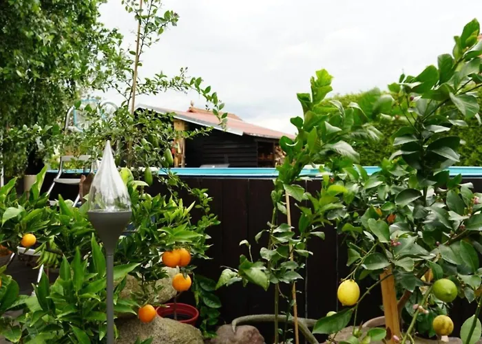Pension Limone Ferienwohnung 1