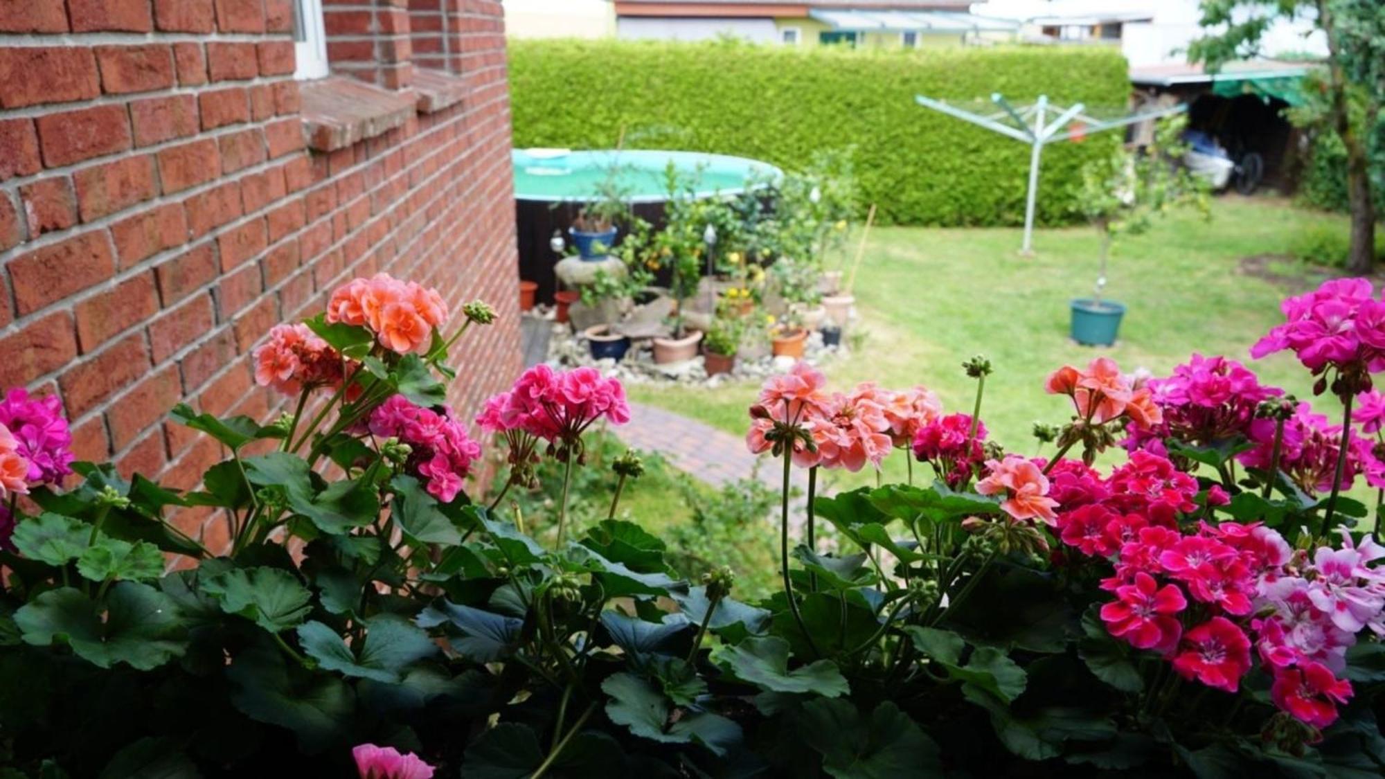 Limone 1 Apartment *